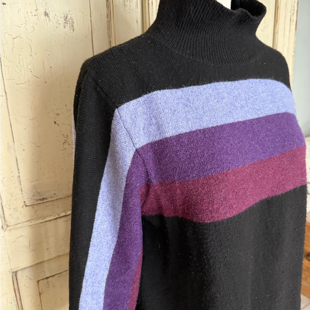 Wit & Wisdom ColorBlock Turtleneck Sweater Size Large Soft & Cozy